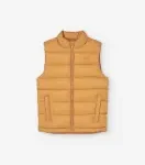 Αμάνικο Puffer