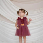 Dress Dusty Rose